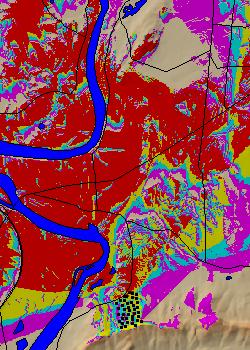 Visibility analysis